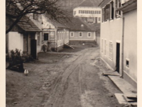 Fotogalerie Vorschaubild