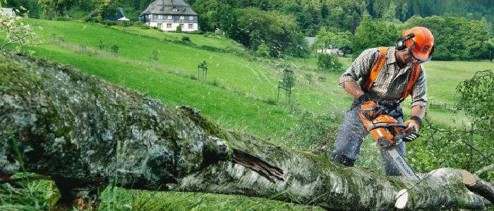 Kleinere Version vom Motivbild der Seite: Mittelklasse-Benzinkettensägen