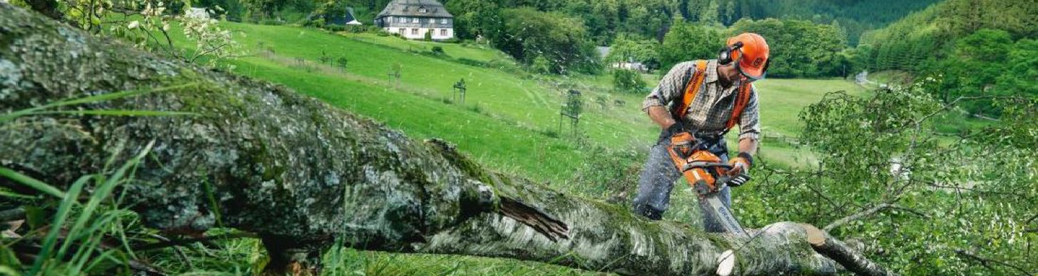 Motivbild der Seite: Hochentaster