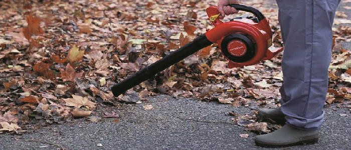 Kleinere Version vom Motivbild der Seite: Laubsaug-Blasgeräte